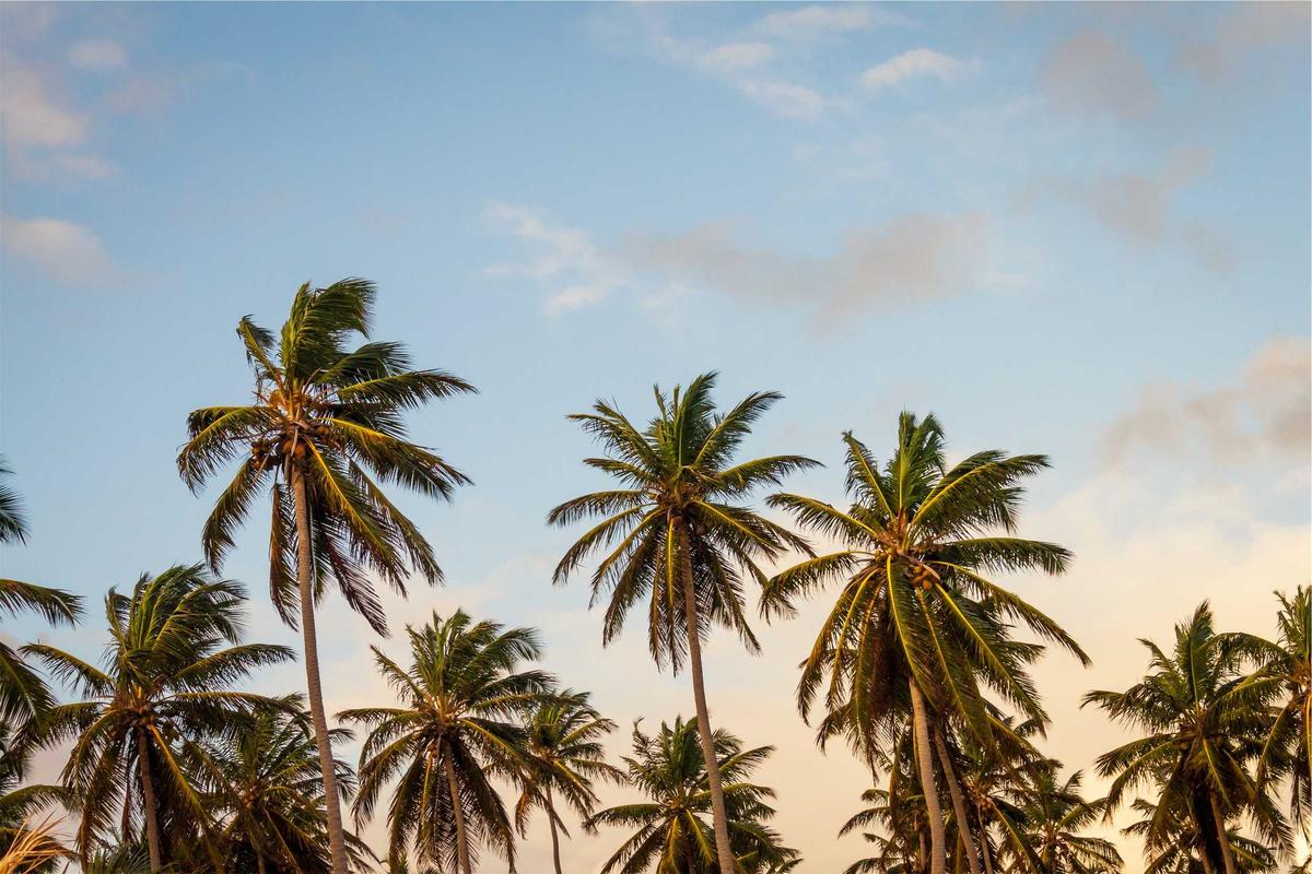 Cultural Education Program Revitalizes Local Traditions in Bali Schools