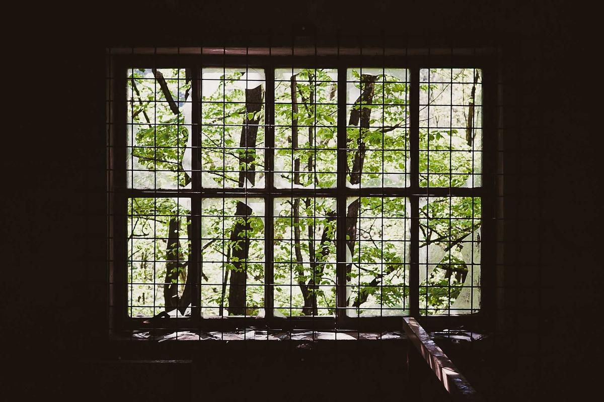 Cultural Roots and Digital Growth: Bali's Evolving Art Scene