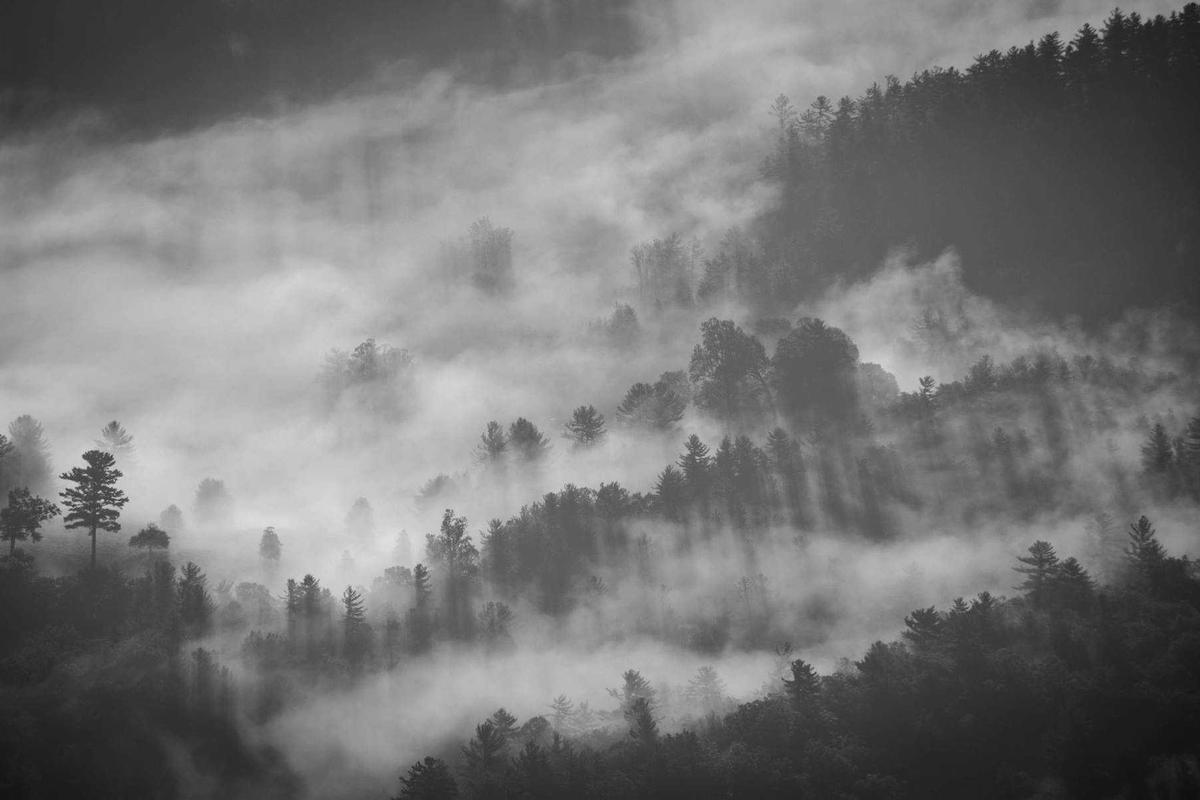 Revitalizing Heritage: Bali's New Wave of Cultural Tourism Takes Center Stage